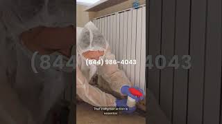 Can a One-Time Water Leak Cause Mold in Dearborn, MI?