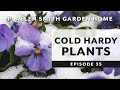 Cold Hardy Plants: Pansies & Violas | P. Allen Smith (2019)