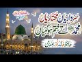 Sardariya Mukhtariya | Hafiz Khalid Noor Hamdmi | Heart Touching New Naat 2026