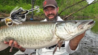 Perfect Musky Lure For Shallow Structure