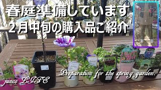 ウィズガーデン＆山新グランステージつくばの購入品紹介と寄せ植え＊猫ちゃん