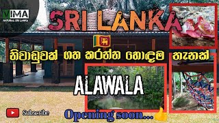 A hotel located in a beautiful village in Sri Lanka🇱🇰 | නිවාඩුවක් ගත කරන්න හොදම තැනක් 👍| අත්තනගල්ල