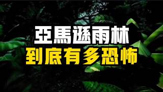 被稱為『地球之肺』的亞馬遜雨林，它的深處到底有多恐怖？ 為何會是人類禁區？ #漲知識 #亞馬遜雨林 #探索地球