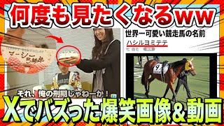 【🔥爆笑】Xでバズりまくったww爆笑画像＆動画まとめ【ゆっくり解説】【コメ付き】【面白画像】