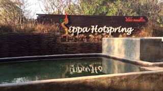 Sippa Hot Spring, Mae On, Thailand