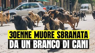 ULTIM'ORA 30ENNE MUORE SBRANATA DA BRANCO DI CANI: TRAGEDIA A LATINA