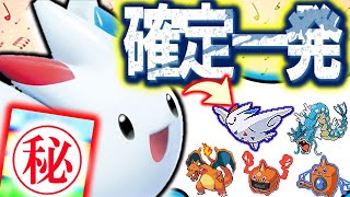 最“恐”初手ダイマ！トゲキッス対策をしばき倒す速攻型キッス！【ポケモン剣盾 対戦実況 鎧の孤島】