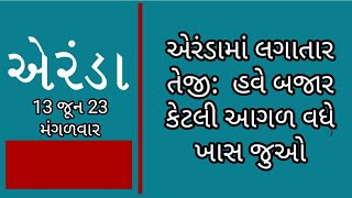 એરંડામાં તેજી, એરંડા બજારમાં મંદી પૂરી, એરંડા બજારની ચાલ, એરંડાના ભાવ, એરંડા, 13/6/23