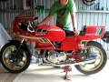 1984 600 pantah ducati