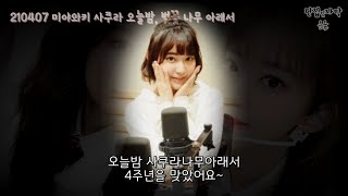 [한글자막] 210407 사쿠노키 본방버전 미야와키 사쿠라 오늘밤, 벚꽃나무 아래서