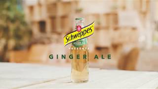 Schweppes Ginger Ale FR