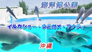 海洋博公園　沖縄