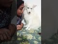 അവളുടെ ഒരു ഗമ കണ്ടില്ലേ funny achus cute dog doglover dogshorts shortvideos shorts youtube