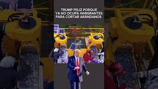 Donald Trump feliz al darse cuenta que ya no ocupa inmigrantes para cortar arándanos.