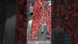 VERFOODSOLUTIONS Frozen Meat Cube Vibration Machine