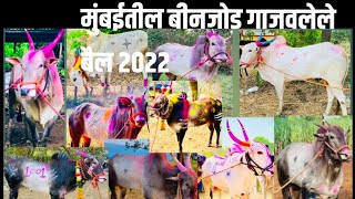 २०२२ मधिल महाराष्ट्रातील काही नामांकित बैल/2022 top bull.bullfight,sheti,सेंद्रियशेती, jersey cow