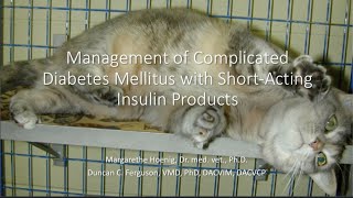 Management of Complicated Diabetes Mellitus in Dogs and Cats, Part 1: Diagnosis