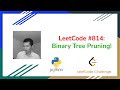 LeetCode Problem 814: Binary Tree Pruning!