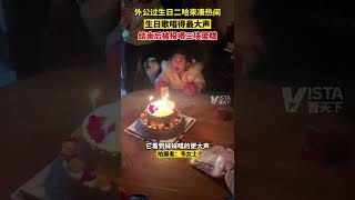 2月27日，广西南宁。外公过生日二哈来凑热闹，生日歌唱得最大声，结束后被家人投喂三块蛋糕