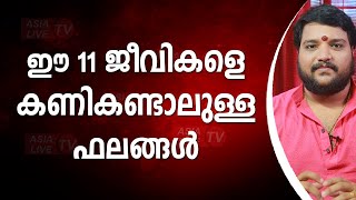 ഈ 11 ജീവികളെ കണികണ്ടാലുള്ള ഫലങ്ങൾ |  9567955292 | Asia Live TV