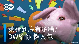 ｢萊豬」之爭吵什麼？德國為何無｢萊豬」？ |DW一看你就懂！