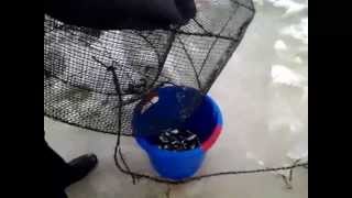 Talvi katiskat 2 / Winter fish-traps 2. -2013 -