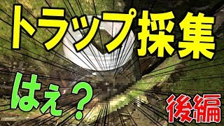 【クワガタ＆カブトムシ★昆虫採集　ワクワク★トラップ採集してみましょう！後編】（くろねこチャンネル）