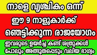 നാളെ വൃശ്ചികം ഒന്ന്-ഈ 9 നാളുകാർക്ക് തലവര തെളിയുന്നു, ഇനി ഇവർ രക്ഷപെടാൻ പോകുന്നു, രാജയോഗം എത്തി