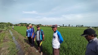 Peninjauan Aset Tanah wakaf Yayasan Temukerep Tahap 1