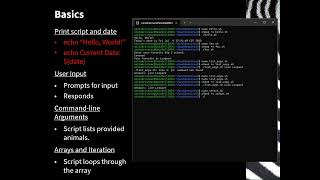 Real-World Bash Scripting Challenges with Big Five Animals