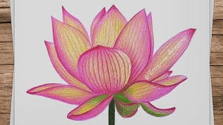 Easy Way for How To Draw a LOTUS Flower Drawing with Colored Pencils!