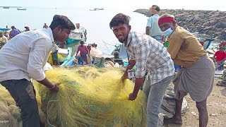 திரேஸ்புரம் மீன் மார்க்கெட் சுத்தம் செய்யும் பணியாளர்