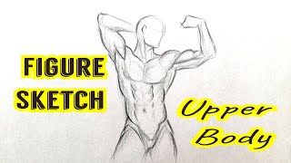 How to draw Human Figure Drawing ( Upper Body  Male) | How to draw Bodies step by step For Beginners