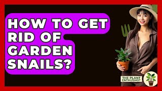 How To Get Rid Of Garden Snails? - The Plant Enthusiast