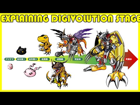 How did Digimon evolve?
