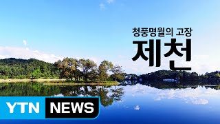 청풍명월의 고장 '제천' / YTN (Yes! Top News)