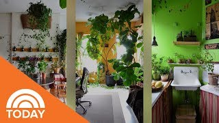 New York City Apartment With More Than 600 Plants | TODAY