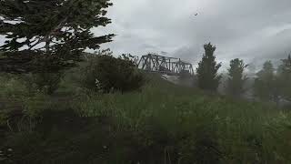 Stalker - Anomaly Ambience \u0026 Music -  Cordon - Wind sounds - Rain sounds  - Background music - Crows