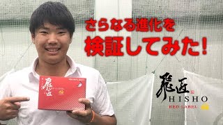 超高反発ボール NEW 飛匠レッドラベル極の\