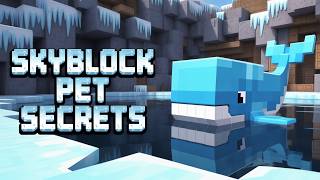 ULTIMATE beginner Pet guide | Hypixel Skyblock