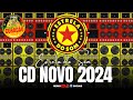 cd novo da estrela do som cd 2024 ao vivo