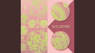 Wildfire