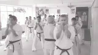 So-Kyokushin Chile