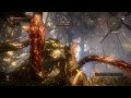 Witcher 2 How to kill kayran!