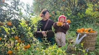 While waiting for JuSon to return, Ly Tieu Ca bought oranges to sell for profit.