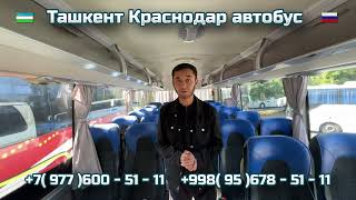 96) Ташкент-Краснодар автобус | Краснодар-Ташкент автобус | Krasnodar -Toshkent | Toshkent-Krasnodar