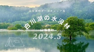 キャンプ&カヌー【白川湖畔オートキャンプ場】春だけの期間限定　白川湖の水没林　山形県飯豊町2024.5