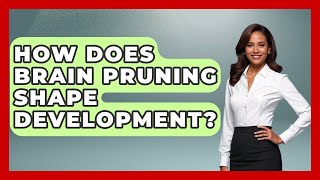 How Does Brain Pruning Shape Development? - Brain Development Hub