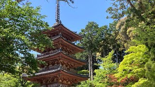 三上山をゆく〜恭仁京・海住山寺へ〜（京都府木津川市）