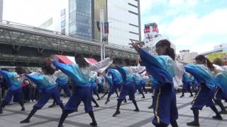 【公式】おどりんちゅ うたかた @浜松がんこ祭り2日目 キタラ会場